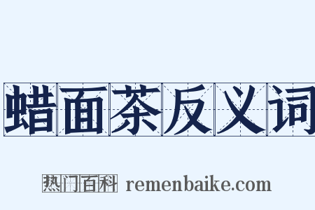 蜡面茶反义词是什么意思的图片